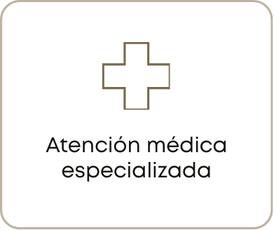 Landing page Doc Lucía Salinas (7)